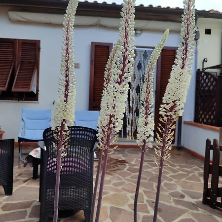 Panorama Holiday home La Guardia